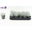 product/img.floraplaza.nl/11375-510-LIVE_fotos-0x914DEB69CE72F3362D045279B7B7C803ACEC92FE.jpg