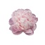 product/img.floraplaza.nl/114159-60-LIVE_fotos-0xD6344D7F77F25267101A36C0A6E94E1FB2101689.jpg