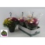 product/img.floraplaza.nl/114248-23-LIVE_fotos-0xF4D974A696E411770F9B99D8E9C0F8CE063F1D3C.jpg