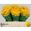product/img.floraplaza.nl/114292-55-LIVE_fotos-0xAC13051734B797AAF3B5ABE278CFC0E5AF1BCA1B.jpg