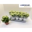 product/img.floraplaza.nl/114633-12-LIVE_fotos-0x1A7BAC91FE71314A6E53DD96E210D5F281123B16.jpg