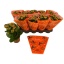 product/img.floraplaza.nl/114635-12-LIVE_fotos-0xCBE219A938C142ABC214CB170BF83BAD0E00CC54.jpg