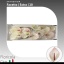 product/img.floraplaza.nl/114641-LIVE_fotos-0xAD8010075F7887C834A909036AB3C02495B3E51C.jpg