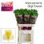 product/img.floraplaza.nl/114902-75-LIVE_fotos-0xC8A21750B626456B8A0CF16287B03DA874F249E8.jpg