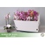 product/img.floraplaza.nl/115156-12-LIVE_fotos-0x7576C6424D8781B3914F8E7FCE275D17A43AE65C.jpg