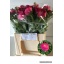 product/img.floraplaza.nl/115236-44-LIVE_fotos-0xE8558841B894F853331628A91E1195BE8596B52C.jpg