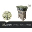 product/img.floraplaza.nl/115254-70-LIVE_fotos-0xF422B95EE3006B88423296FFE28D7EC72B625220.jpg