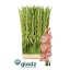 product/img.floraplaza.nl/115660-120-LIVE_fotos-0xD51A5EA1F129FDA490F3DF609735D18BE46B216F.jpg