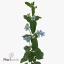 product/img.floraplaza.nl/115858-50-ART_Fotos-VBN-vbn115858.jpg