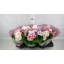 product/img.floraplaza.nl/116295-14-LIVE_fotos-0xB8D0920FCC2F0F260531A2F85AB9CE2A48584039.jpg