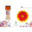product/img.floraplaza.nl/116353-45-LIVE_fotos-0x10E4AC6EF51B54DCD02BE53B5DFDCFE45A25E82A.jpg
