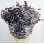 product/img.floraplaza.nl/116444-60-LIVE_fotos-0xAF8607A30EBBBE587624B9C7F81EE8D3DFBBC790.jpg