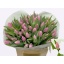 product/img.floraplaza.nl/116712-LIVE_fotos-0xF778D7F9B4D72434C564D3C91AD8D390BE661550.jpg