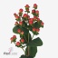 product/img.floraplaza.nl/116753-50-ART_fotos-VBN-vbn116753.jpg