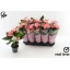 product/img.floraplaza.nl/116880-12-LIVE_fotos-0x305D534A1F47FB9AF948C5C882BF9294443C7034.jpg