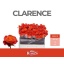 product/img.floraplaza.nl/117245-55-LIVE_fotos-0x5FAF95D1218DB14C4E6FC03DD3AB4DFD93FDA560.jpg