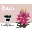 product/img.floraplaza.nl/117355-85-LIVE_fotos-0xE8DFC41D6F569800F2611C316188F63A6B0C84F4.jpg
