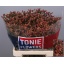 product/img.floraplaza.nl/117364-70-LIVE_fotos-0xD4BCF599CAB44438754FE64C416FBA569E5B1035.jpg