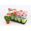 product/img.floraplaza.nl/11762-12-LIVE_fotos-0x7774A9A91D16012B7211D675D3E35D80BD5820EB.jpg