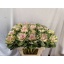 product/img.floraplaza.nl/117672-60-LIVE_fotos-0x8B68D1E5CED7A063E5DEA5FA60B97807DF8066A7.jpg
