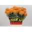 product/img.floraplaza.nl/117751-50-LIVE_fotos-0xE53E09D2D3E80BAE08399513DD58D11C61366910.jpg