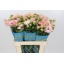 product/img.floraplaza.nl/118306-60-LIVE_fotos-0x472D5C96A91B5D760A403086436156FFC3E57505.jpg