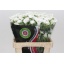 product/img.floraplaza.nl/118623-65-LIVE_fotos-0xDBC113D241CD9DE98CD78F4392638063244EE917.jpg