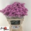 product/img.floraplaza.nl/118716-60-LIVE_fotos-0xA5366DA01E3860EDFF411EEFCAF022FCC0D44C8D.jpg