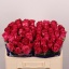 product/img.floraplaza.nl/119257-50N-LIVE_fotos-0xED319DA13CCA0C05D8A0126BA84E4E9E759CFE45.jpg