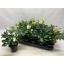 product/img.floraplaza.nl/119298-12-LIVE_fotos-0x7F4FA39591241251CC69A9DAC4D81FE35FEADB2F.jpg