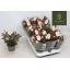 product/img.floraplaza.nl/119384-510-LIVE_fotos-0xE605A86F430A01C7A3B5CC0F836CEA7C82A96674.jpg
