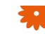 product/img.floraplaza.nl/119430-50-ART_fotos-Standaard oranje.jpg