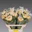 product/img.floraplaza.nl/119453-80-LIVE_fotos-0xBC2830ADA95AE7921944053085FFC8AFAC26ED66.jpg