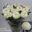 product/img.floraplaza.nl/119454-80-LIVE_fotos-0xFD78AD5647179A129D2246404DE286900D37C4F1.jpg