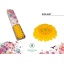 product/img.floraplaza.nl/119496-45-LIVE_fotos-0xF9B98AD49B27F649B7D52A92F762D9877F2F84A4.jpg