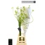 product/img.floraplaza.nl/119507-90-LIVE_fotos-0x055ED7F0866EC66943073B69EF3CA2AA06DC89EE.jpg