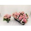 product/img.floraplaza.nl/119520-12-LIVE_fotos-0x2BEB34B5EC59BB0C42F32723E7C0E3B5B197E4F1.jpg