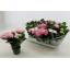product/img.floraplaza.nl/119520-12-LIVE_fotos-0x6B4A8D387A8B8D96B2C00F326AD11B01433AA725.jpg