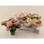 product/img.floraplaza.nl/119520-12-LIVE_fotos-0xB50FD1F8DB7ECEF314D05BAD7B462DA79A91CD2E.jpg