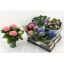 product/img.floraplaza.nl/119520-14-LIVE_fotos-0xDECF35430F54B18F1CCAB6DCB29AE829A268EF1D.jpg