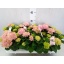 product/img.floraplaza.nl/119520-510-LIVE_fotos-0x5A7448B647C4B7967ECE93CFE1A16579C2347E4D.jpg