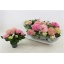product/img.floraplaza.nl/119520-510-LIVE_fotos-0x7C4176AB55D554B1387C757EC34F97B61E403EAE.jpg