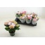 product/img.floraplaza.nl/119520-510-LIVE_fotos-0xC0B847BF94568A1FF5578D74E4495C367A5167B1.jpg