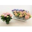 product/img.floraplaza.nl/119520-510-LIVE_fotos-0xC6C1E3EE3FF2430479487EFEED93ACBFFCE119C4.jpg