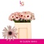 product/img.floraplaza.nl/119652-50-LIVE_fotos-0x884CD6BCE040EBA997BCFC10921ED96182A0A6AC.jpg