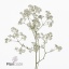 product/img.floraplaza.nl/119925-ART_fotos-VBN-vbn119925.jpg