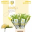 product/img.floraplaza.nl/120244-54-LIVE_fotos-0xDF7DB6EF6F812F50E25EDE7E835A67A41E11C8D2.jpg