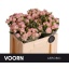 product/img.floraplaza.nl/120442-50-LIVE_fotos-0x36DAA4C674997353E589DFA72D0F7210BE6BD218.jpg