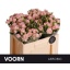 product/img.floraplaza.nl/120442-50-LIVE_fotos-0x55EE0C1BFEE8F7375BEFC3A0A17A1B2069A18AD9.jpg