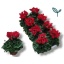 product/img.floraplaza.nl/120462-510-LIVE_fotos-0xB8BF8190C7D0B13F0F5E4D1691A0A5D06834E901.jpg